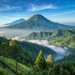 984e4cb1af4486349857c73711852159