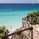 background, beach, blue, caribbean, it costs, concept, coral, exotic, vacation, horizontal, landscape, free time, maldives, marina, nature, ocean, paradise, to relax, sand, sea, seashell, lido, starfish, summer, tourism, do you travel, tropical, wait for me, beautiful, beauty, beautiful wallpaper, calm, animal, caribbean sea, central america, bunch, floor, group, image, life, photo, seagrass, star, under, under the sea, under water, diver, iphone wallpaper